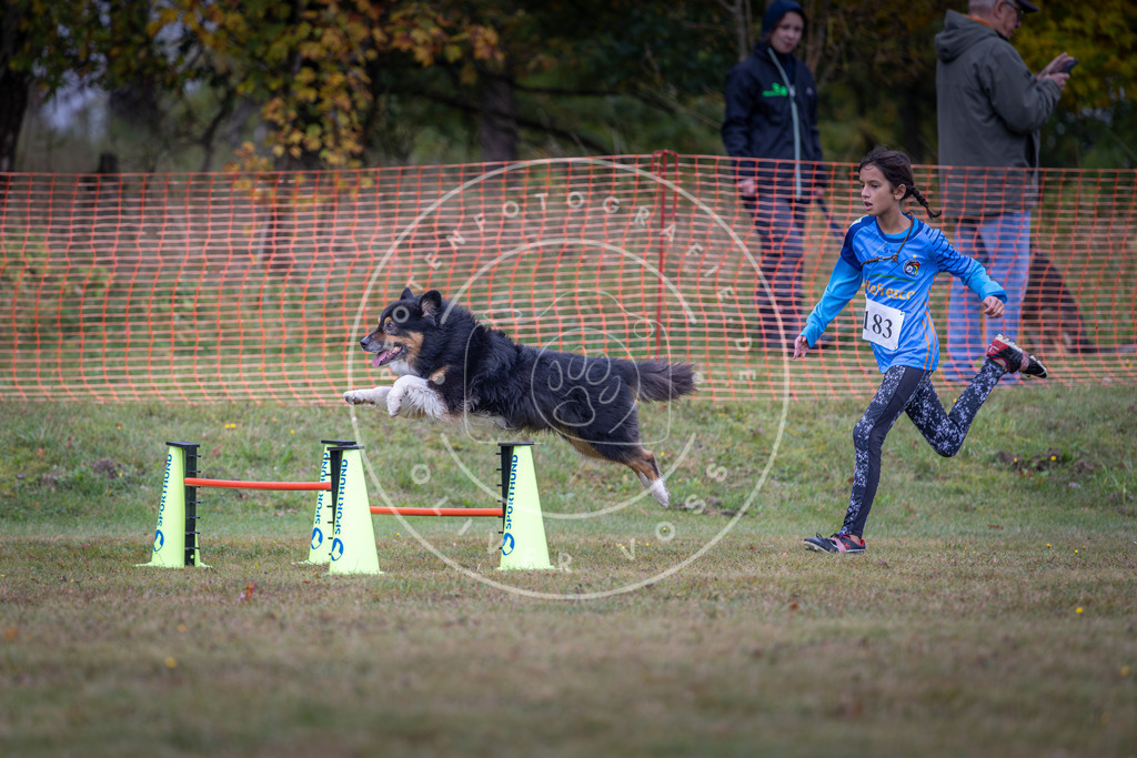 Pfotenfotografie_DV3A0376 | Hundefotografie, Tierfotograf, Pfotenfotografie, Fotoshooting Hund, Hunde Portrait, Hundesport, Hundeportraits, Heideshooting, Hunde, Sportfotograf, Hundefotograf, Turnierhundsport, THS,  - Realisiert mit Pictrs.com