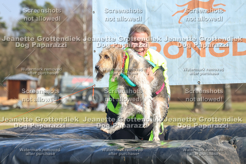 Dog Paparazzi - Strongdog North Mrz26-3025 | Dog Paparazzi Jeanette Grottendiek Fotografie & Videografie - Realisiert mit Pictrs.com
