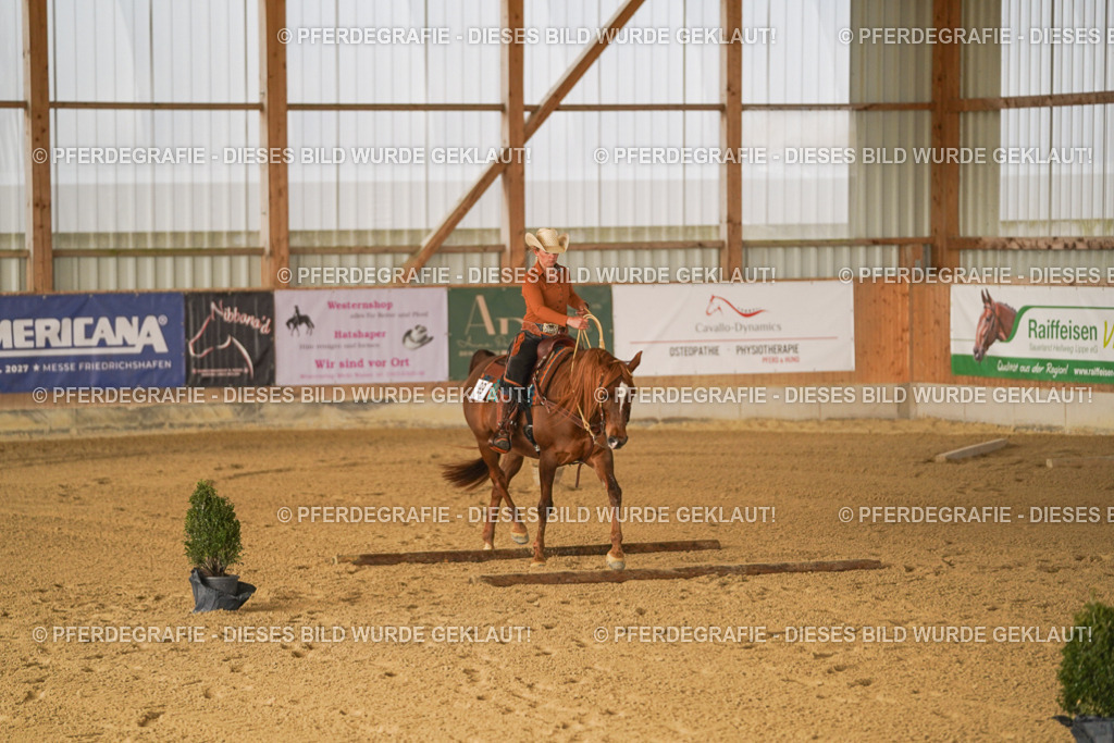 DSC01134 | Pferdegrafie