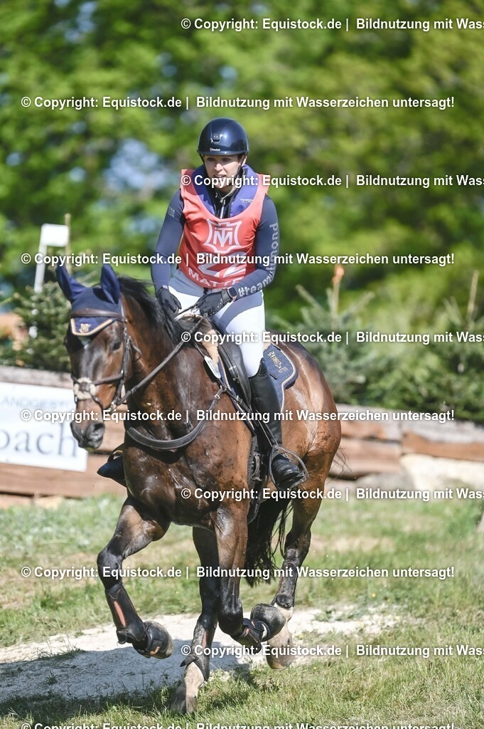 20250517_CCI2_Gelände_0619 | Foto: Thomas Hartig