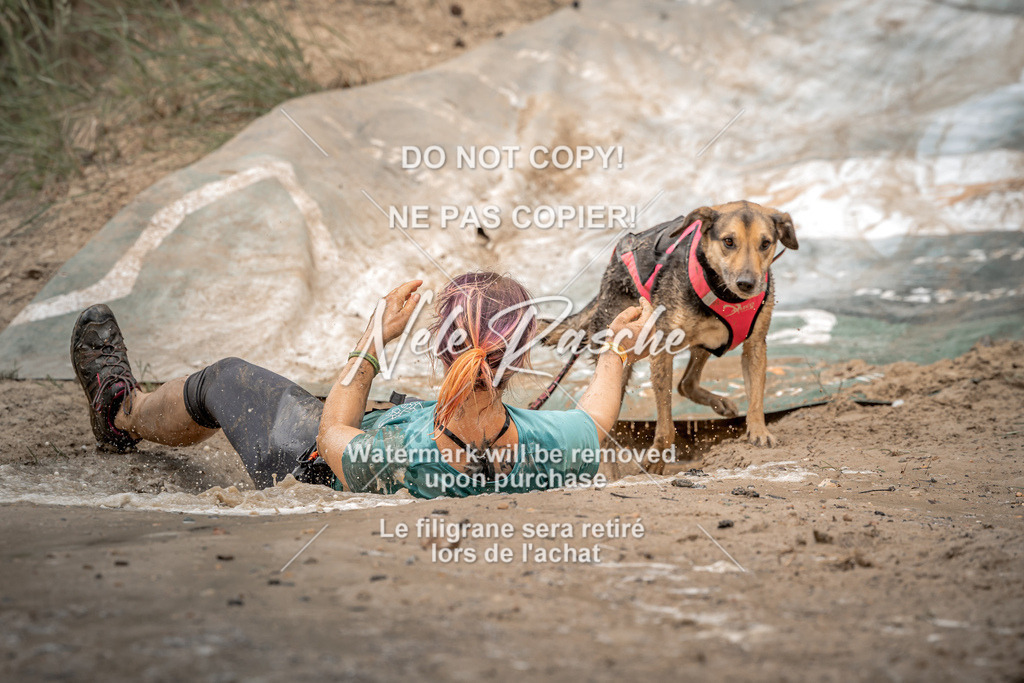 nelerasche_sa1430-1500_129 | nelerasche
