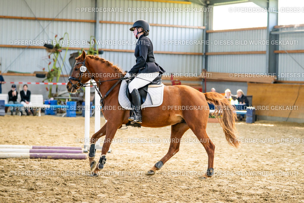 DSC01414 | Pferdegrafie