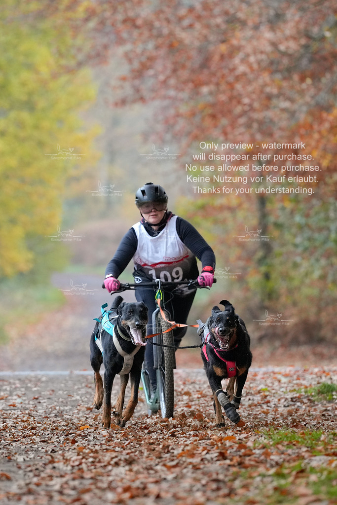 ScooterRigs2dogs_So-9 | stephaniefillaphotographie - Realisiert mit Pictrs.com