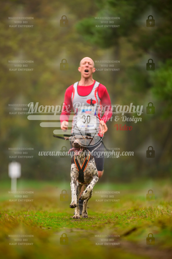 MompixPhotography_Bischwiller2025_Canicross-19 | mompixphotography