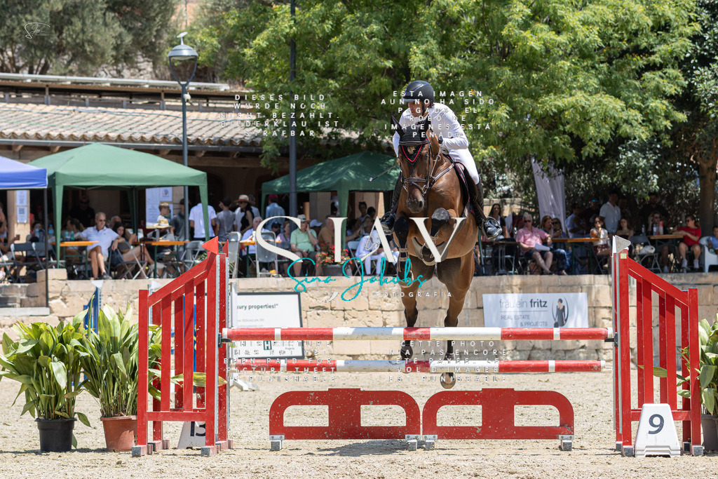 IMG_6817 | s-jay-photography - Realisiert mit Pictrs.com