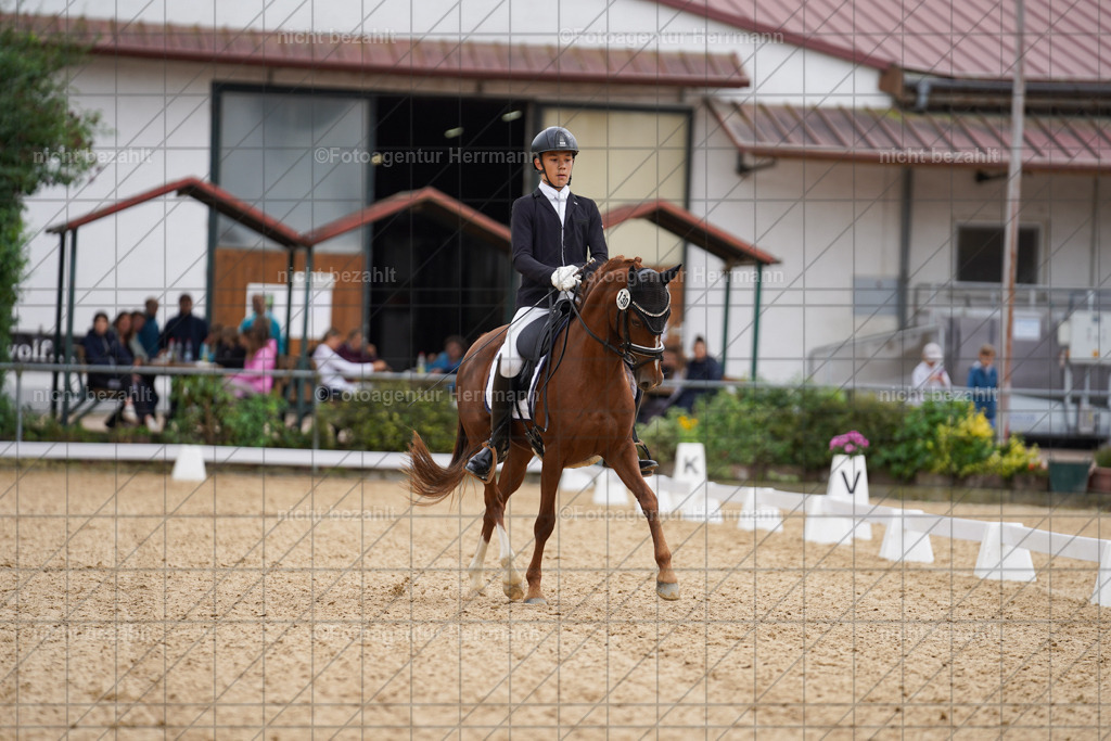 20240825-FAH09883 | Turnierbilder, Reitsportfotos, LAPO, Landesponyturnier, Turnierfotografen Bayern