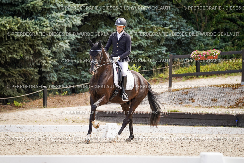 DSC00170 | Pferdegrafie