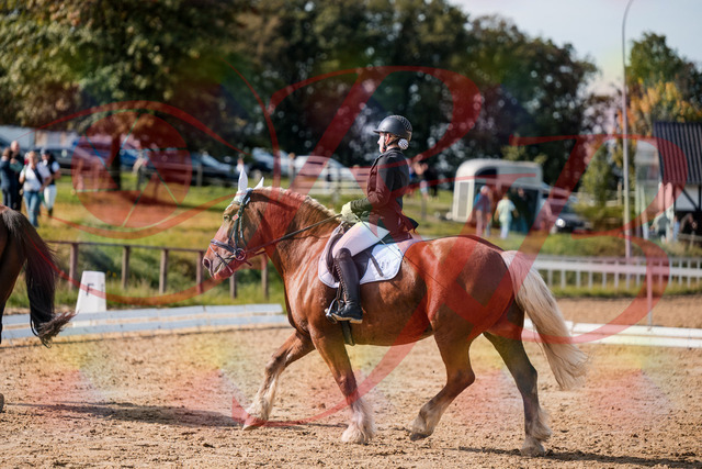 2026_10_03_Siefer-Hof_130515_Z63_68679067 | Professionelle Reitsport-, Turnier- und Eventfotografie von Robert Broda. Galerien mit ausgewählten und bearbeiteten Bildern direkt online ansehen und bestellen.