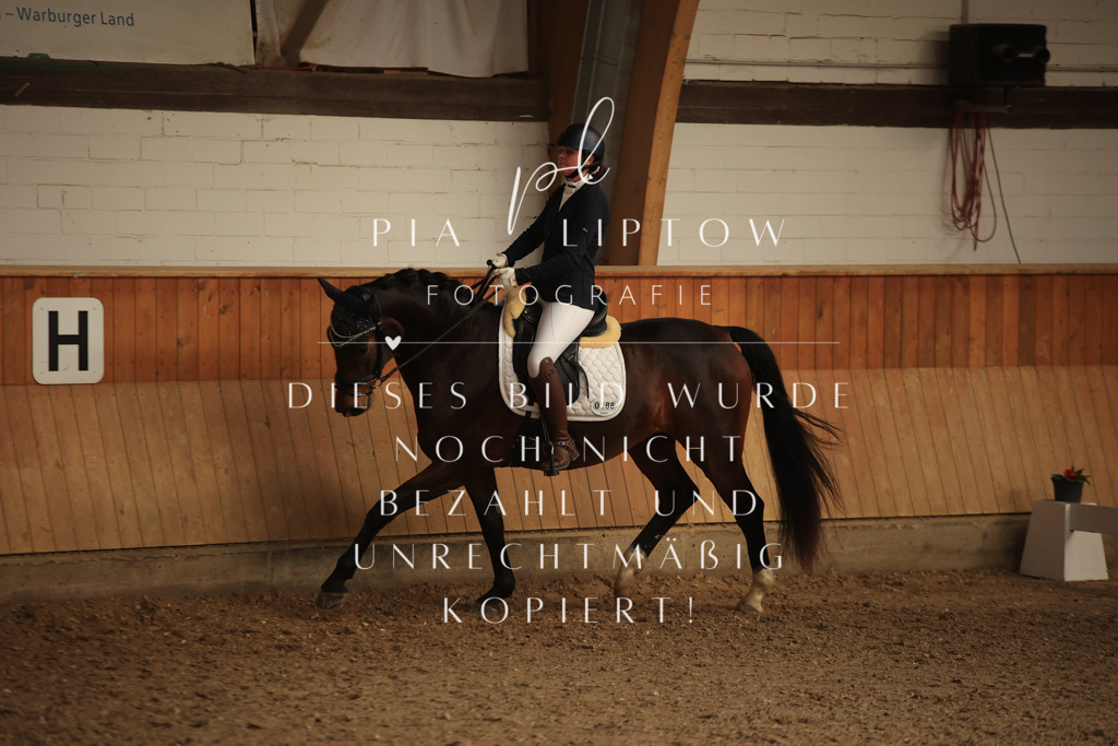 IMGT4880 | pl-fotografie