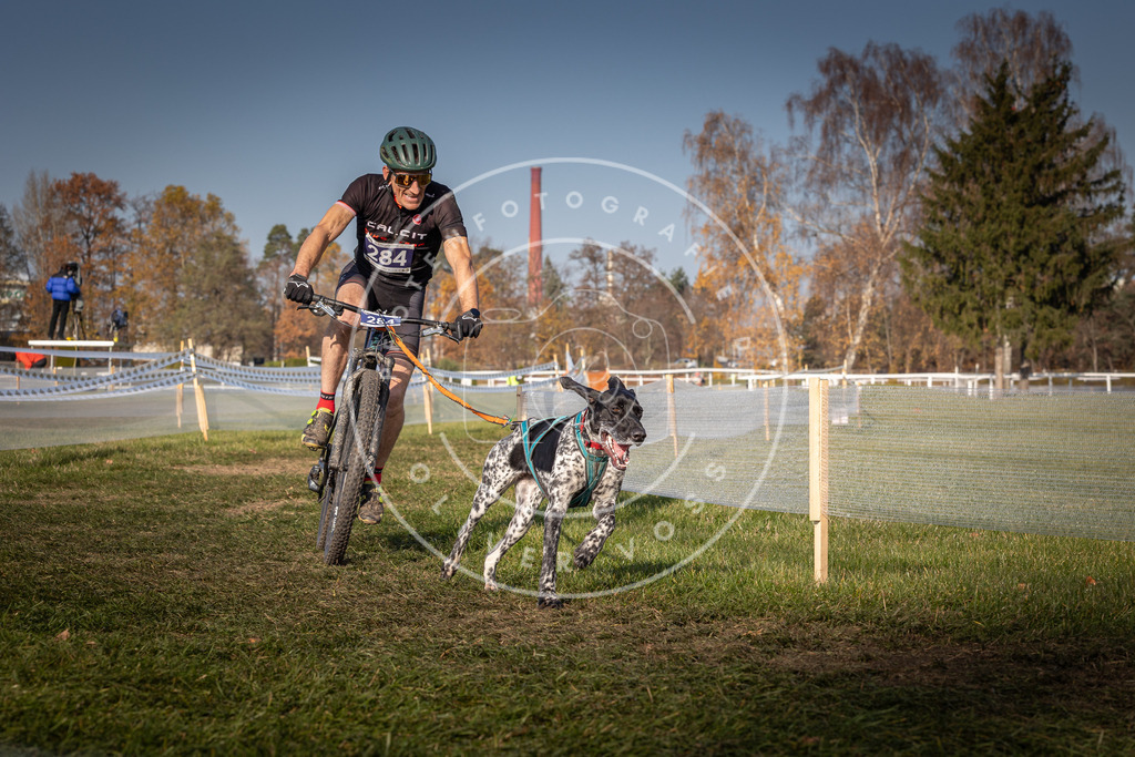 CaniXpix_0L8A7156 | Hundefotografie, Tierfotograf, Pfotenfotografie, Fotoshooting Hund, Hunde Portrait, Hundesport, Hundeportraits, Heideshooting, Hunde, Sportfotograf, Hundefotograf, Turnierhundsport, THS,  - Realisiert mit Pictrs.com