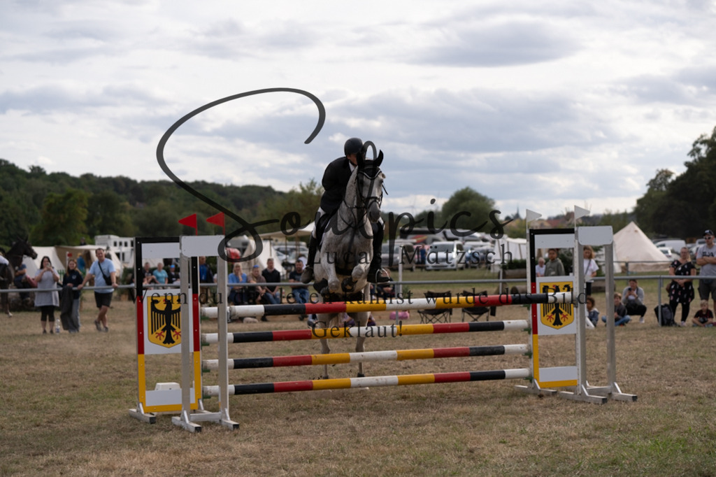 A7V09574 | Pferdefotograf