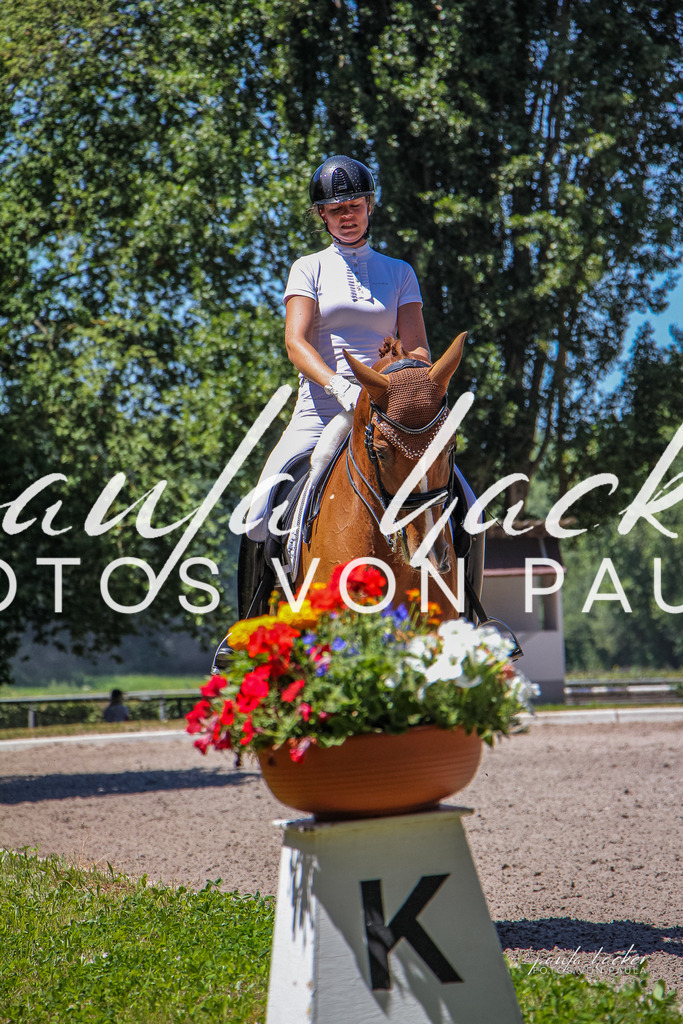 IMG_0954 | Erleben Sie dynamische Sport- und emotionale Tierfotografie in Süddeutschland mit Fotos von Paula. Spezialisiert auf Pferde- und Hundefotografie sowie Sportevents. Kontaktieren Sie mich für einzigartige und ausdrucksstarke Bilder Ihrer besonderen Momente.