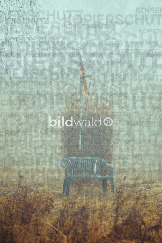 christmas tree elsfleth crazy mad thingy-4109 | BILDWALD - eine Auswahl an Bildern von Thomas Perrotton zum bestellen und genießen. Alle Bilder von Thomas Perrotton - Alle Bilder mit einer SONY Kamera gemacht - SONY TAMRON SIGMA PHOTOSHOP LIGHTROOM BILDWALD Online kaufen Bilderwald Wandbilder - Realisiert mit Pictrs.com