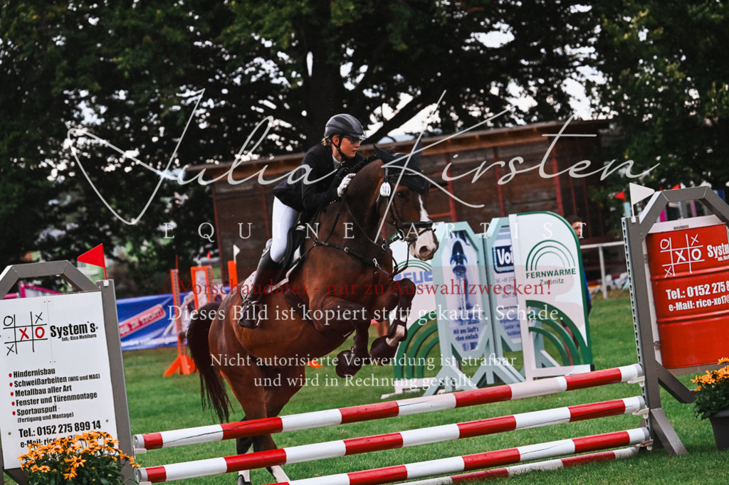 DSC_6154 | Pferde- und Turnierfotografie in Westsachsen. Pferdeportraits, Auftragszeichnungen und intuitive Kunst.