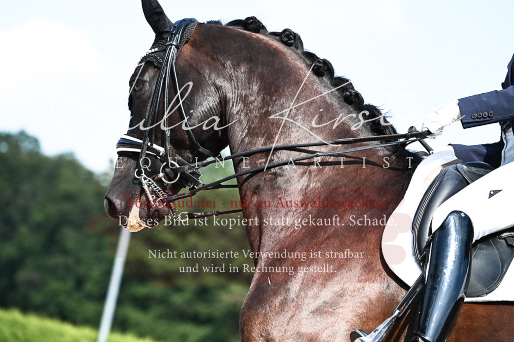 DSC_3132 | Pferde- und Turnierfotografie in Westsachsen. Pferdeportraits, Auftragszeichnungen und intuitive Kunst.