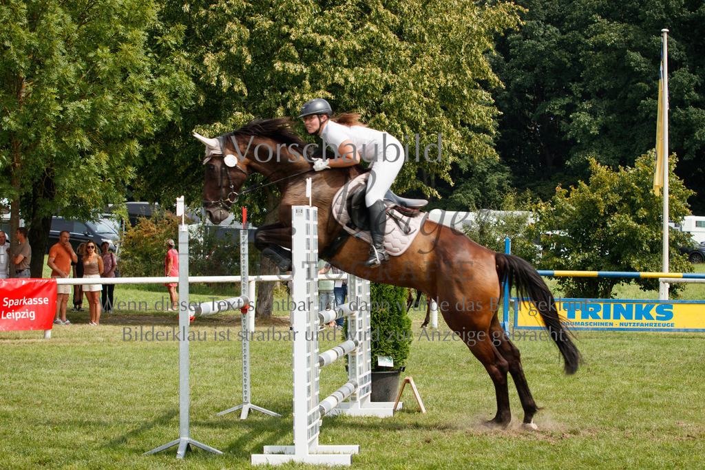 IMG_3268 | P. Berger Fotografie - Realisiert mit Pictrs.com