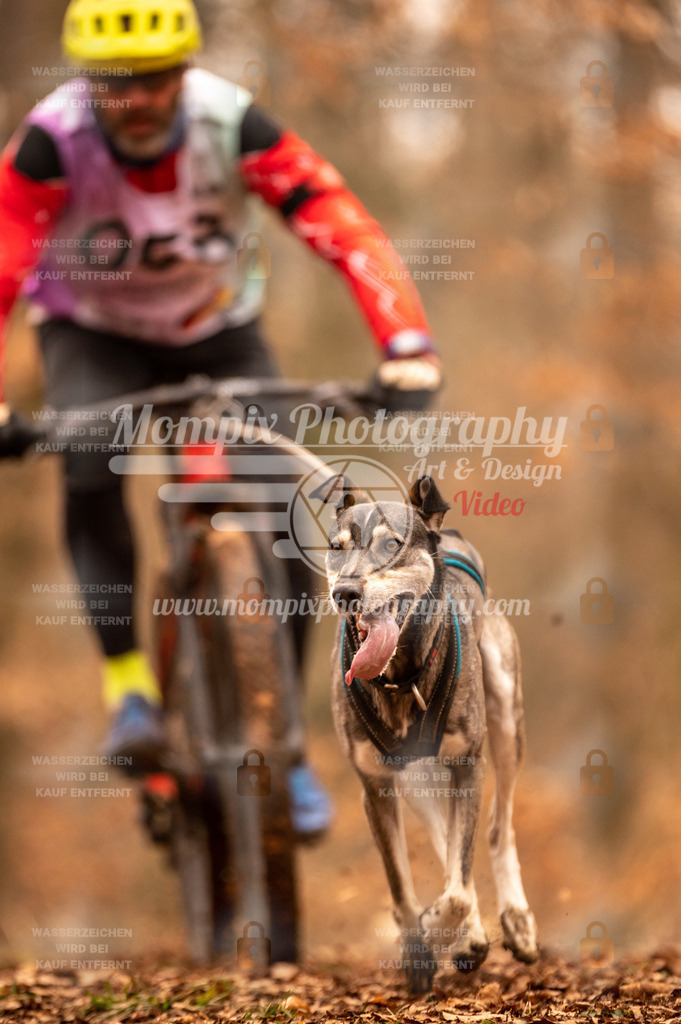 AKM_ST_2023_SAM_Bike-22 | PayLife