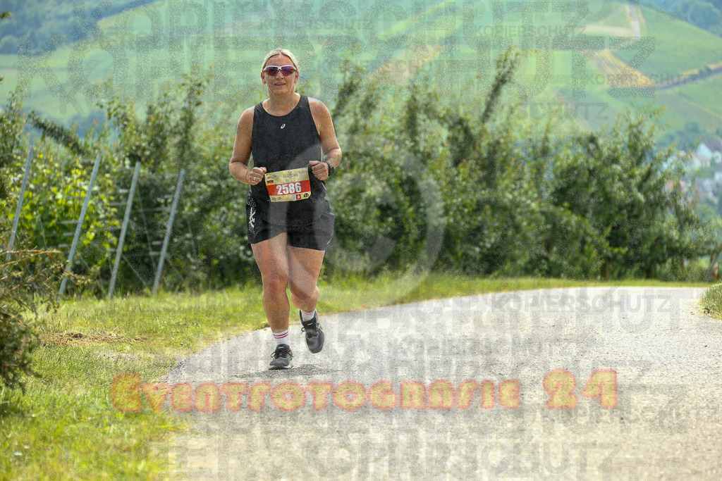 250614_1249_EX1_7910 | Sportfotografie im Rhein-Sieg Kreis, Köln, Bonn, NRW, Rheinland Pfalz, Hessen, etc. Unser Tätigkeitsfeld umfasst den Laufsport vom Volkslauf über den Marathon, Duathlon, Triathon bis zum Ultralauf wie Kölnpfad Ultra oder Schindertrail.