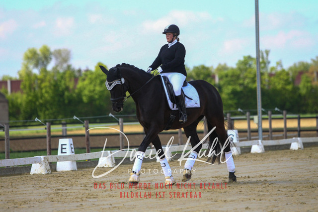 DKP43057 | Turniersportfotografie; Pferdefotografie; Dressurfotografie