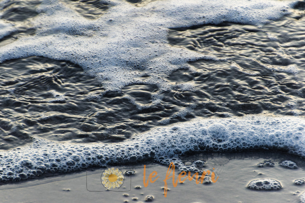 Schaumkrönchen | Dies ist der Shop von Florian Blum - le fleuri. Langenthal, Bern, Schweiz. Sie können hier meine oder ihre eigenen Fotos als Fotoprodukte kaufen. Tassen, Schlüsselanhänger, Taschen etc. können Sie hier gestalten.  - Realisiert mit Pictrs.com