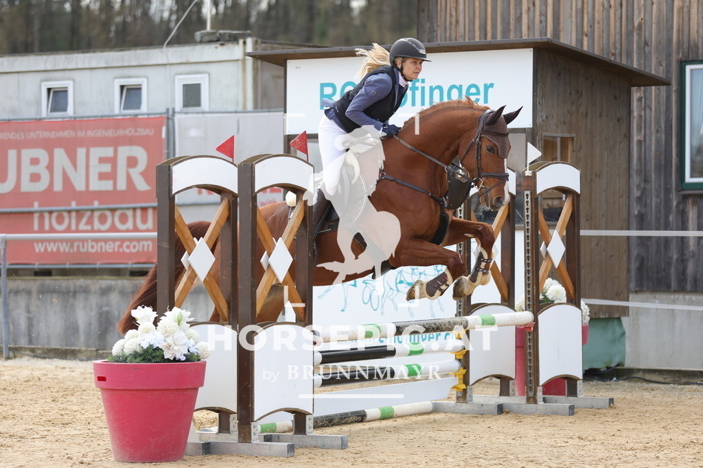 0P6A7161 | Willkommen bei Brunnmayr - Design & Fotografie – Ihrem Spezialisten für Reitturniere und Pferdeveranstaltungen in Oberösterreich, Salzburg und Bayern! Seit über 17 Jahren sind wir leidenschaftlich dabei.