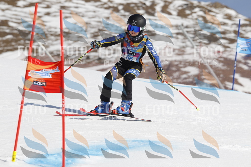 _U3G0086 | holidayphoto