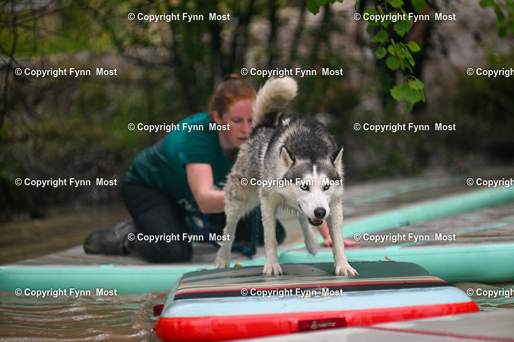 DSC_3130 | Hallo und herzlich Willkommen auf meiner Shop-Seite Fynn Most.

Ich wünsche Dir viel Spaß beim stöbern durch die Bilder, wenn Du Fragen hast oder Bilder vermisst, kannst du mir gerne eine Nachricht schreiben. - Realisiert mit Pictrs.com