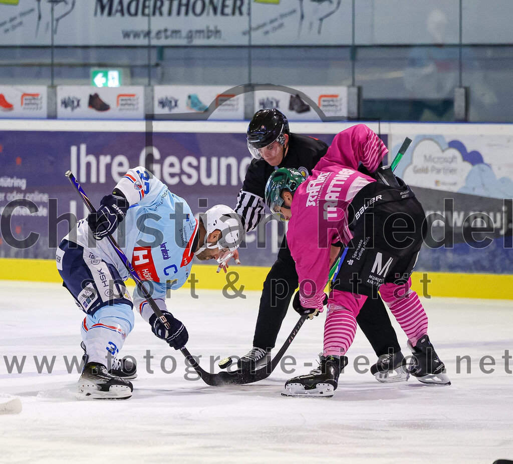2025-10-05_036_TSV_Erding_gegen_Heilbronner_Falken | Erding, Deutschland, 05.10.2025:Eishockey, Oberliga Süd 2025 / 2026, 6. Spieltag, TSV Erding gegen Heilbronner Falken, Endergebnis: 3:1Frederik Cabana (Heilbronner Falken, #37), Louis Trattner (Erding Gladiators, #7)Foto: Christian Riedel / fotografie-riedel.net