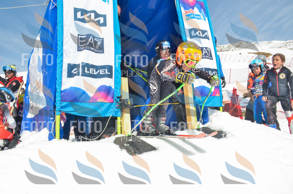 _ELE6484 | holidayphoto