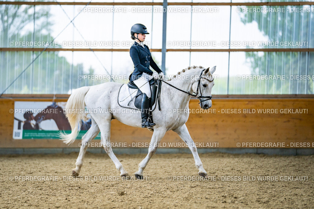 DSC04081 | Pferdegrafie