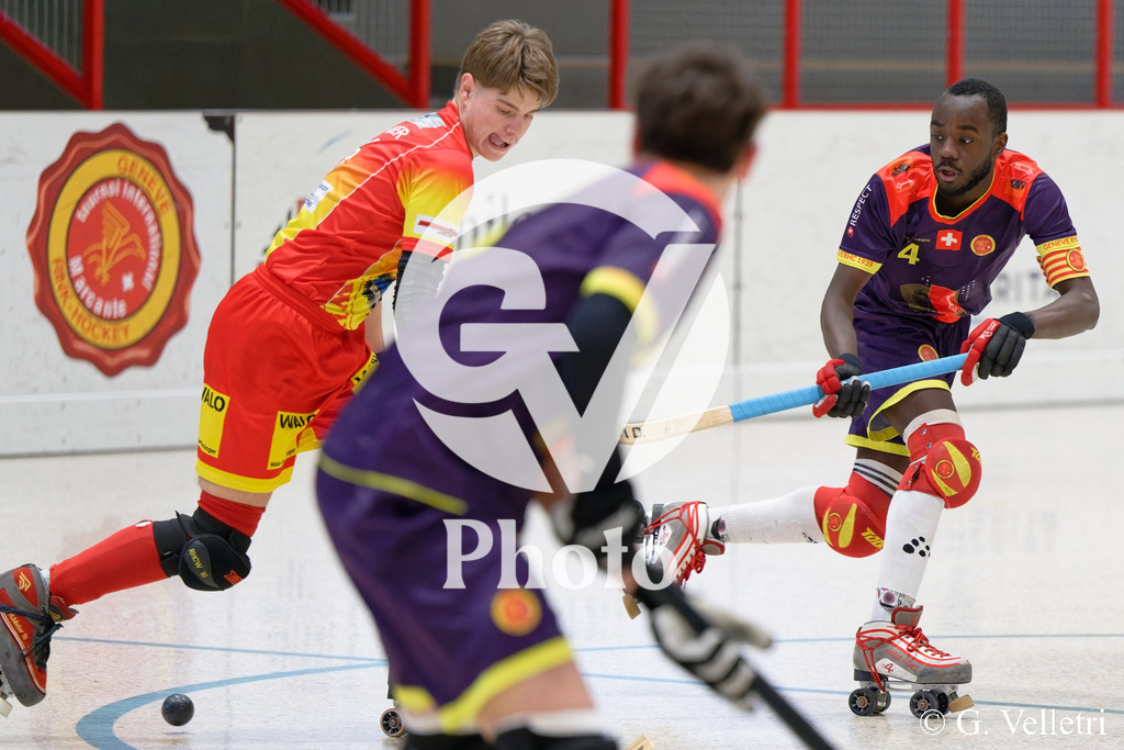 DSC_6130 | Velletri Photo