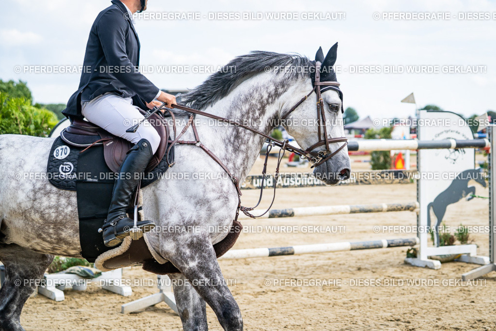 DSC06687 | Pferdegrafie