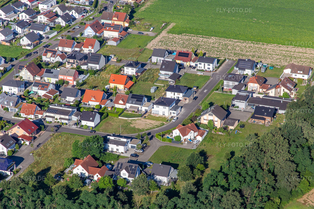 Luftbild: Blumenring im Ortsteil Hardtwald in Neupotz im Bundesland Rheinland-Pfalz in Deutschland. Foto: IMG_142528.jpg vom 09.07.2024 durch Werner Riehm/FLY-FOTO.de