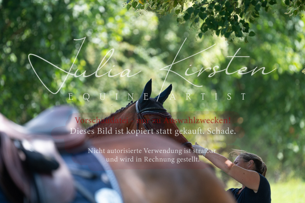 DSC_0594 | Pferde- und Turnierfotografie in Westsachsen. Pferdeportraits, Auftragszeichnungen und intuitive Kunst.