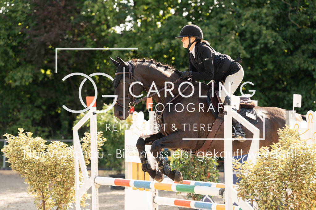 DSC01911 | Carolin Gieschke