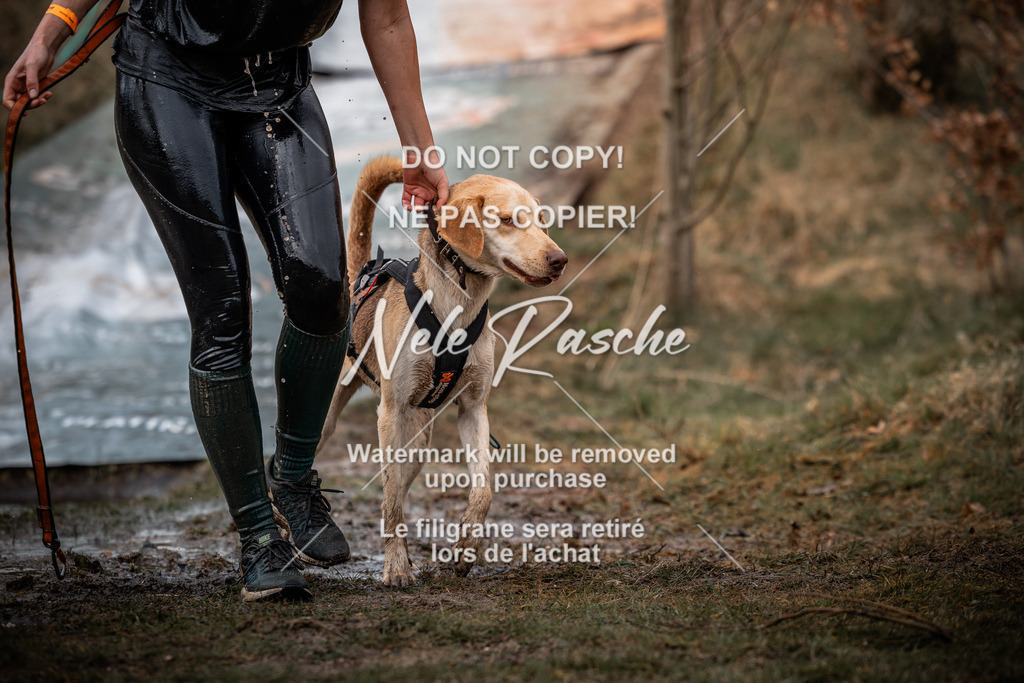 nelerasche_1400-1430_202 | nelerasche