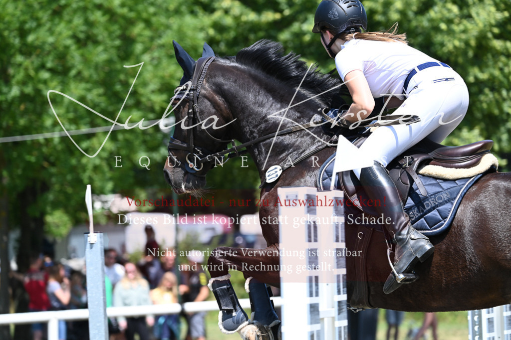 DSC_0732 | Pferde- und Turnierfotografie in Westsachsen. Pferdeportraits, Auftragszeichnungen und intuitive Kunst.