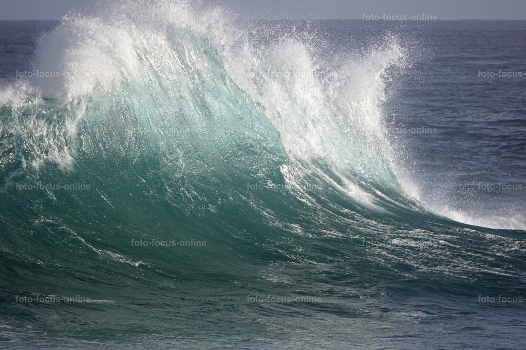 Wild Waves | Wild Waves Atlantic