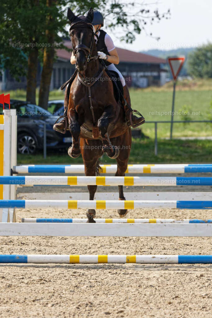 JHE_4999 | JoYa Fotografie - Realisiert mit Pictrs.com
