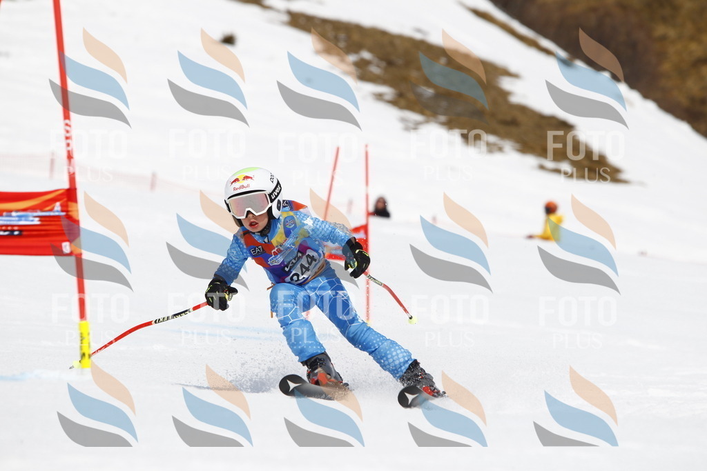 _U3G6172 | holidayphoto