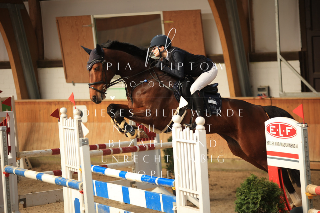 IMGT0148 | pl-fotografie