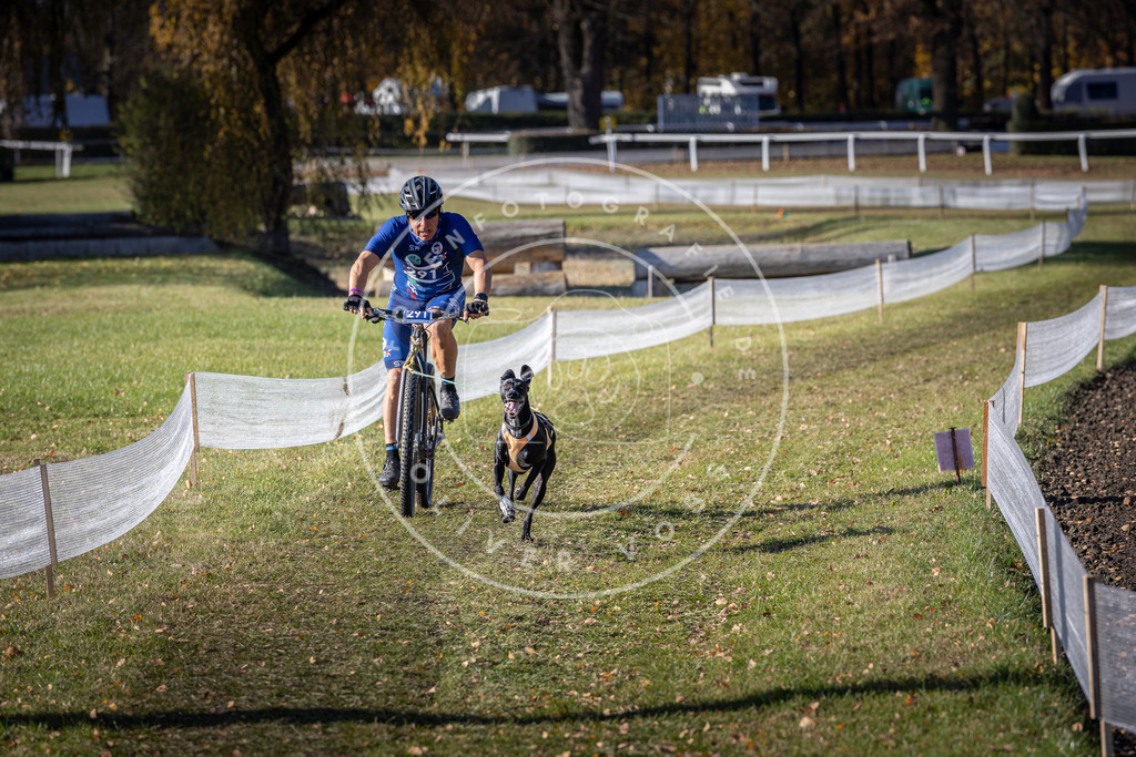 CaniXpix_DV3A5806 | Hundefotografie, Tierfotograf, Pfotenfotografie, Fotoshooting Hund, Hunde Portrait, Hundesport, Hundeportraits, Heideshooting, Hunde, Sportfotograf, Hundefotograf, Turnierhundsport, THS,  - Realisiert mit Pictrs.com