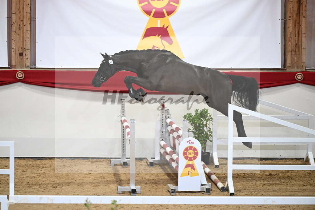 Kat.-Nr. 32 v. Monator vd Radstake_Schep_2251213 | hf-fotografie - Realisiert mit Pictrs.com