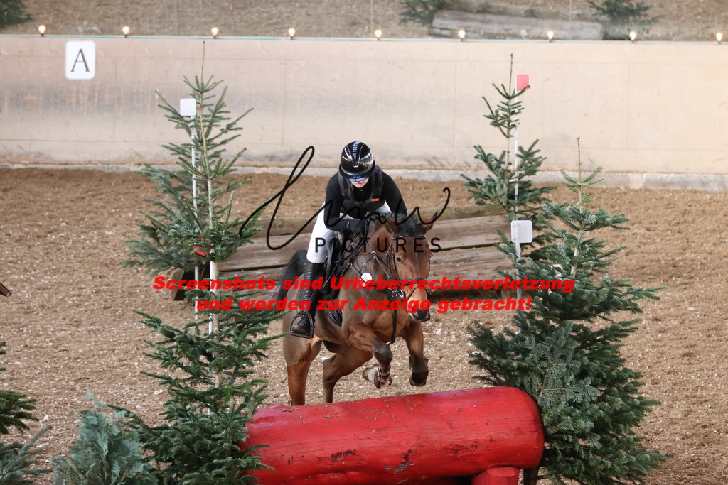 IMG_9706 | lmwpictures - Realisiert mit Pictrs.com