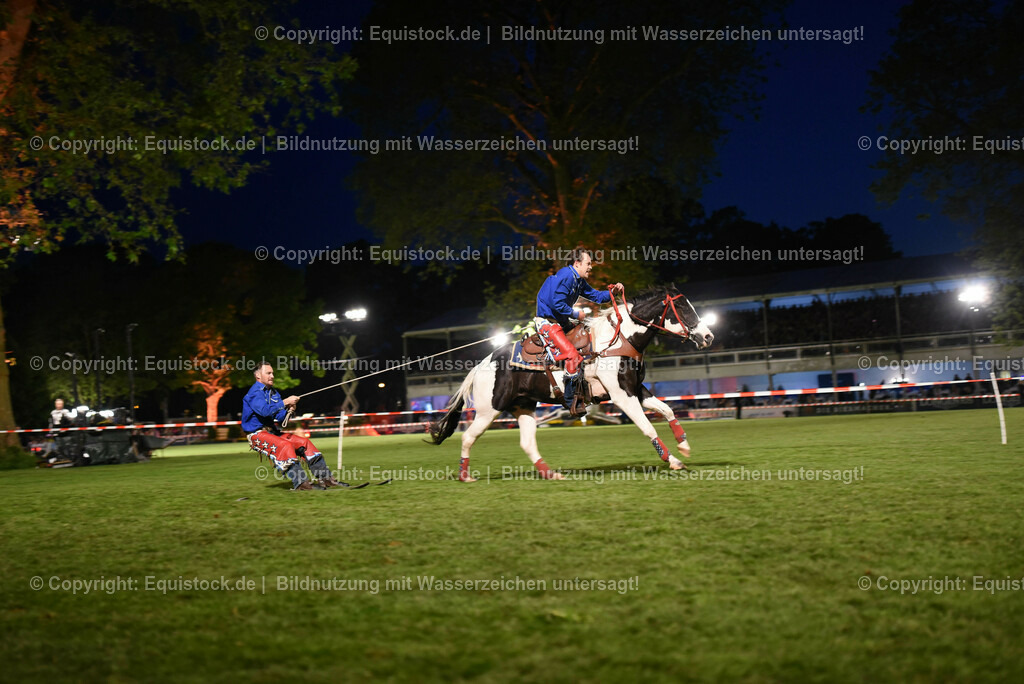 20230526_Pferdenacht_1323 | equistock