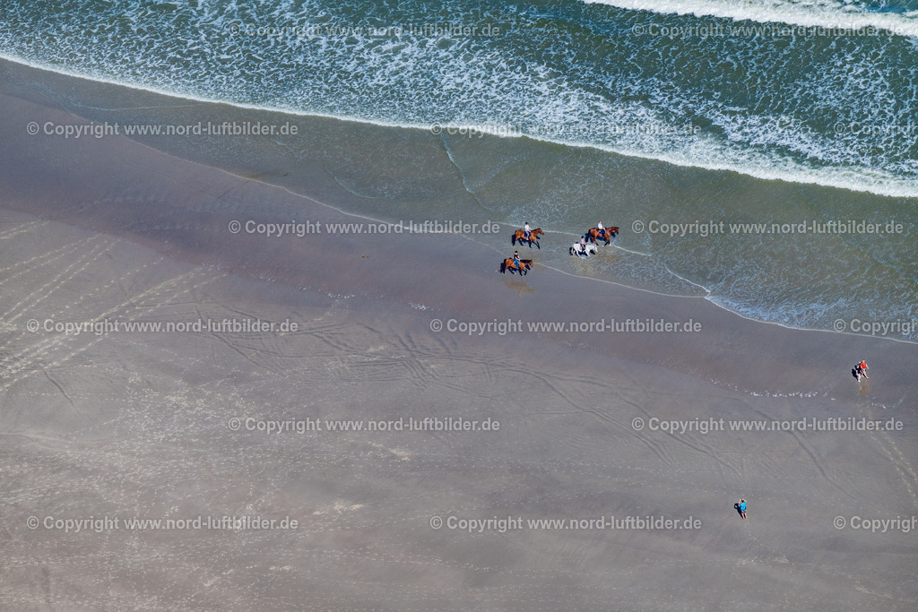 Norderney_Strand_Reiter_ELS_6647050923 | NORDERNEY 05.09.2023 Reiter mit ihren Pferden im Wasser und am Sandstrand-des Nordstrandes der Insel Norderney im Bundesland Niedersachsen, Deutschland. // Riders with their horses in the water and on the sandy beach of the northern beach of the island of Norderney in the state of Lower Saxony, Germany. Foto: Martin Elsen