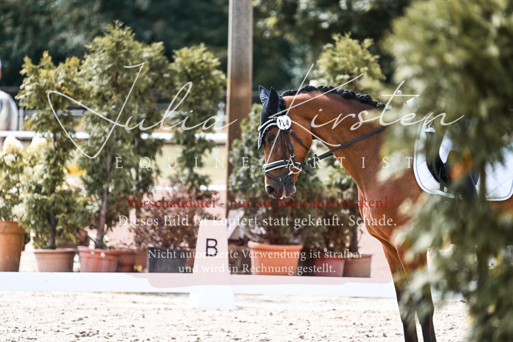 DSC_5131 | Pferde- und Turnierfotografie in Westsachsen. Pferdeportraits, Auftragszeichnungen und intuitive Kunst.