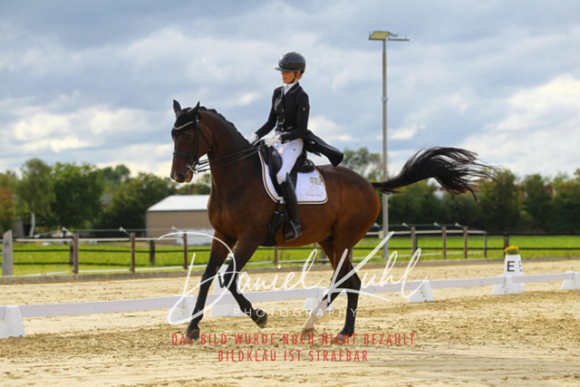 DKP44602 | Turniersportfotografie; Pferdefotografie; Dressurfotografie