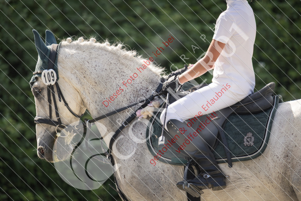 IMG_5904 | Sport-, Event- und Tierfotos in Profiqualität. Einfach auswählen, bestellen und herunterladen. Dein Moment – perfekt festgehalten.