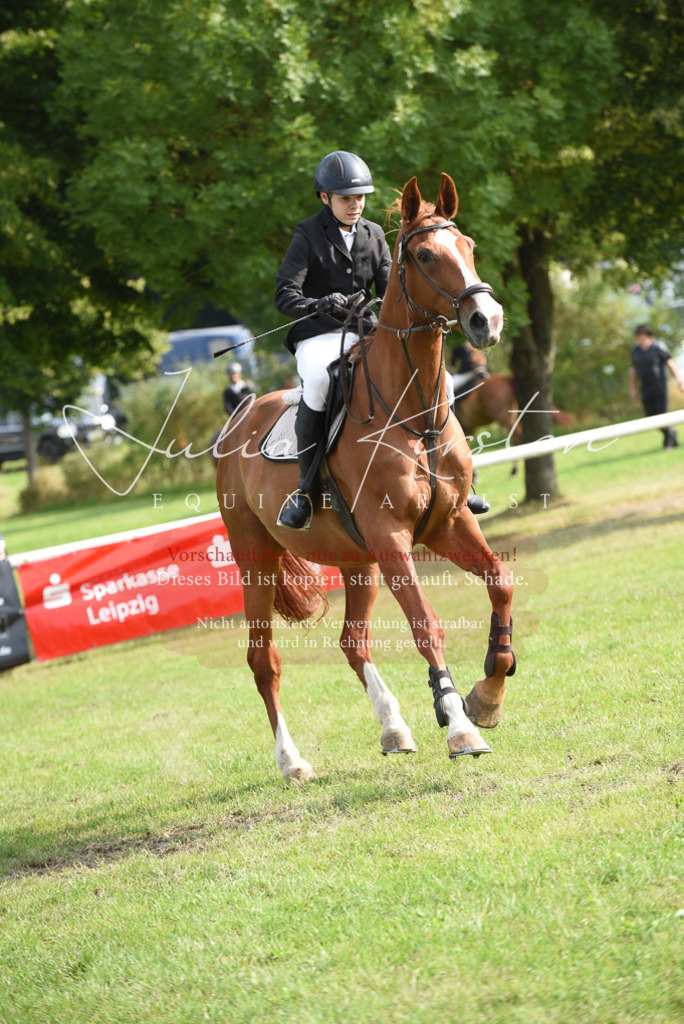 DSC_8797 | Pferde- und Turnierfotografie in Westsachsen. Pferdeportraits, Auftragszeichnungen und intuitive Kunst.
